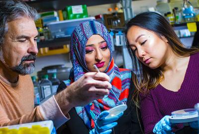 Biology - Pre-Medical Professions, BS