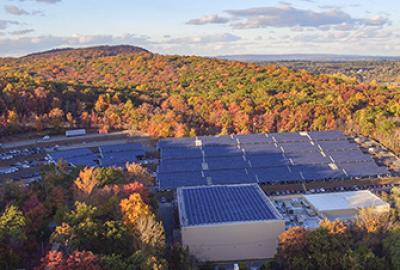 Environmental Sustainability, BS